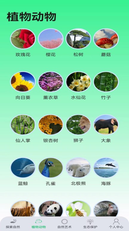 绿野乐园app截图2