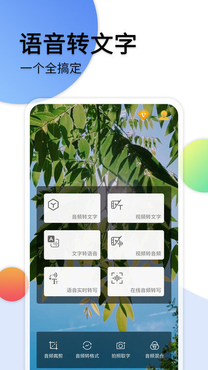 音频转文字软件免费版截图1