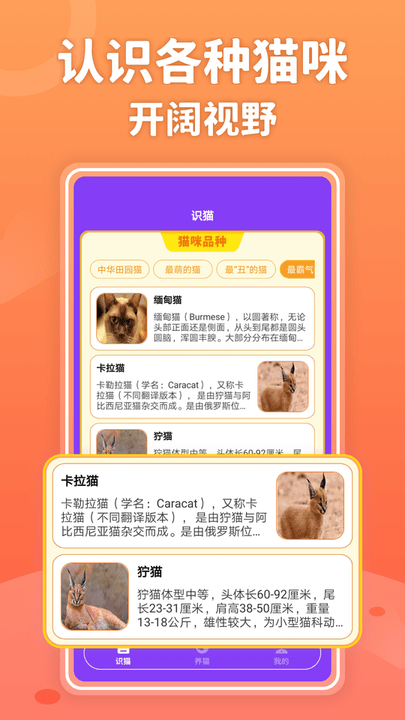 嗨猫猫手机版截图3