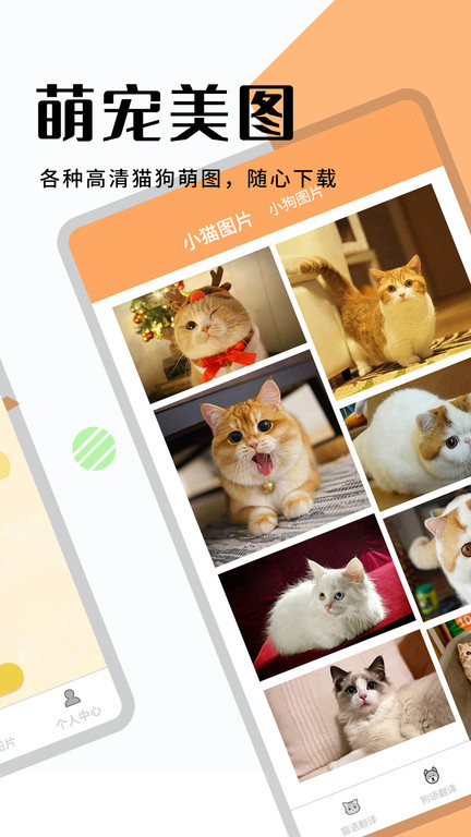 猫狗翻译器正版app截图2