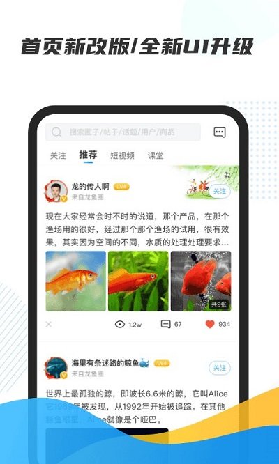 龙巅鱼邻最新版本截图1