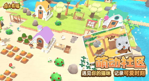 岛上有猫游戏截图2