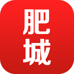 肥城铸安软件