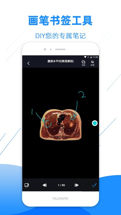 影像解剖图谱免费版截图1