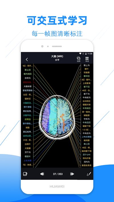 影像解剖图谱免费版截图5