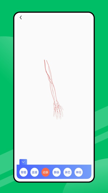 人体工厂app截图4