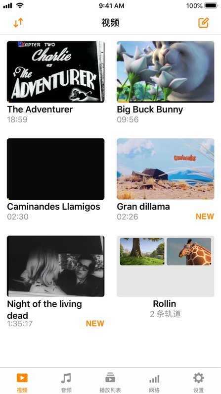 vlc播放器app(vlc media player)截图2