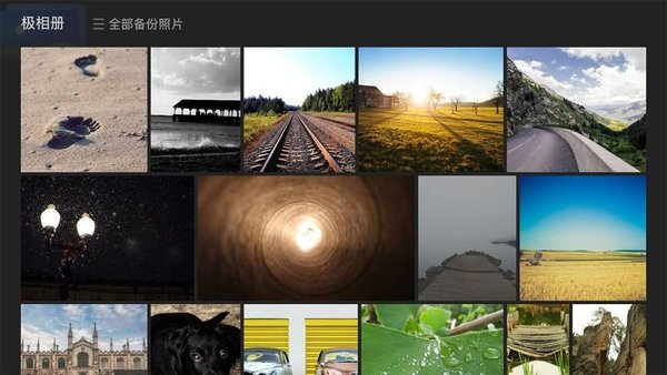 极空间tv版本客户端截图2