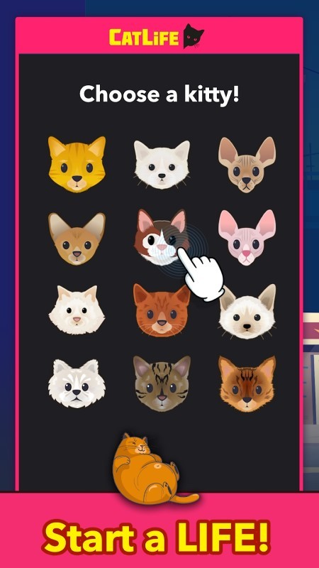 猫生猫猫模拟器游戏截图3