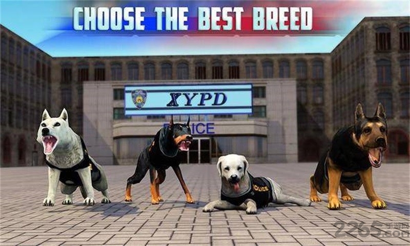 神犬模拟中文版截图3