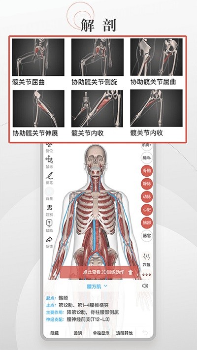 第三人体软件截图1