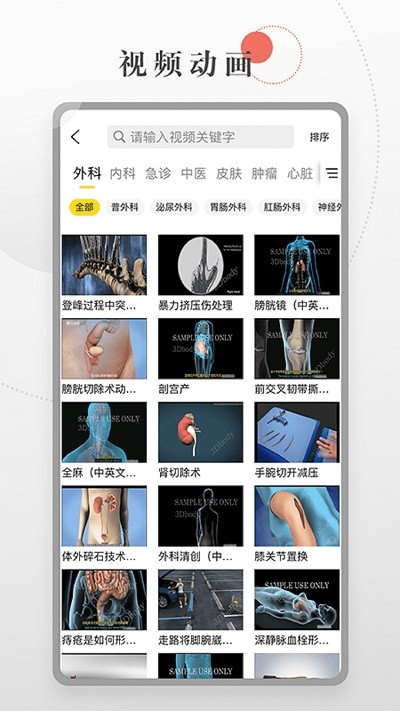 第三人体软件截图2