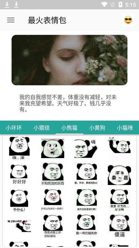 最火表情包手机版截图5