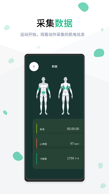 rune force软件截图2