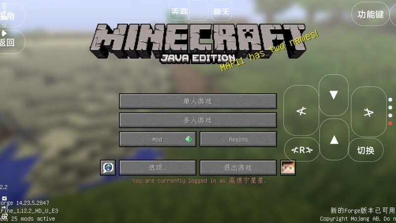 宝可梦世界王国游戏截图1