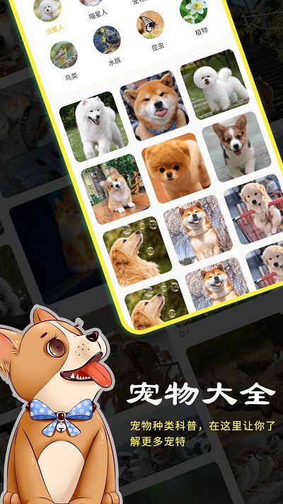宠本本app截图1