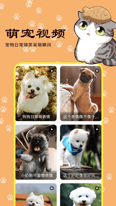 宠本本app截图3