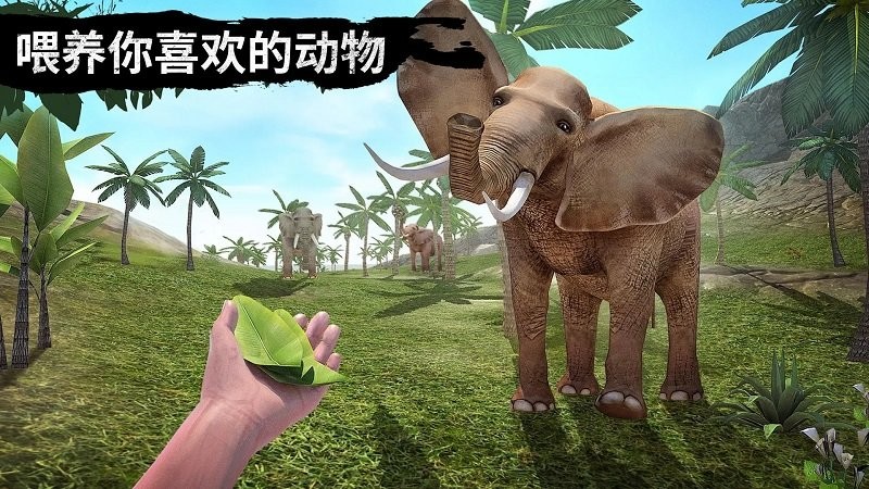 野外狩猎生存官方版截图1