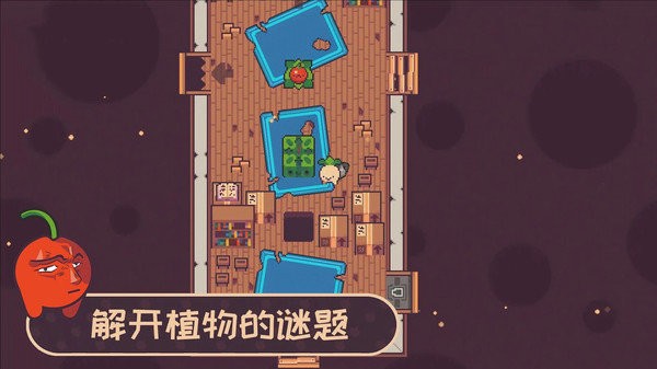 大头菜小子最新版截图1