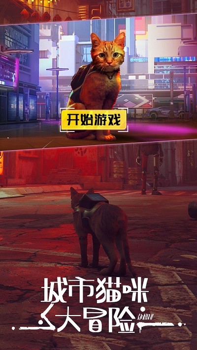 城市动物大冒险游戏截图3