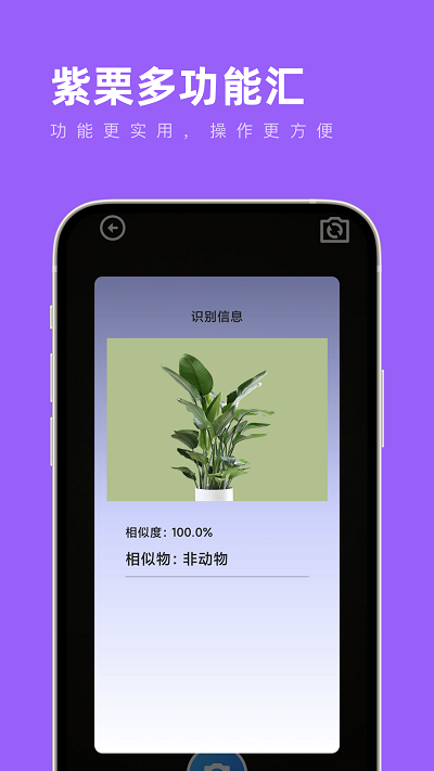 紫栗多功能汇app截图1