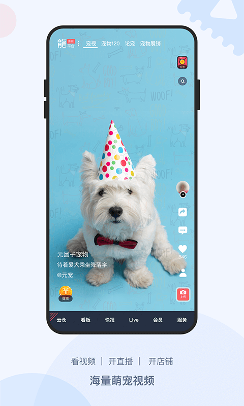 龙平台影视官方版截图1