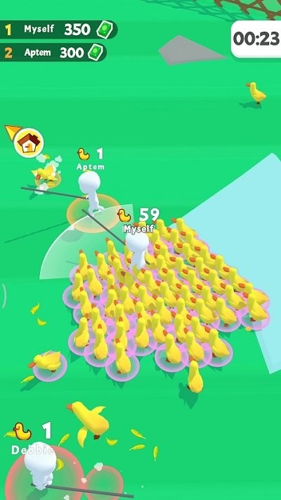 抓鸭子游戏(catch ducks)截图3