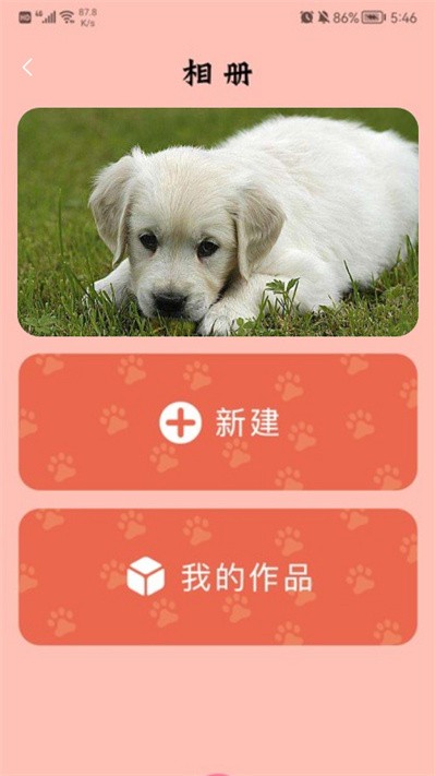 萌宠翻译官最新版截图1