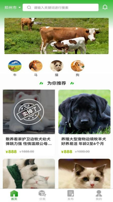 牧圣岛app截图1