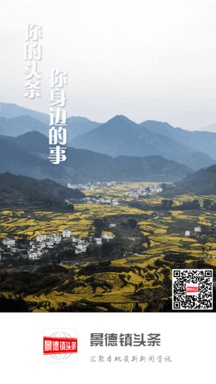 景德镇头条手机版截图4