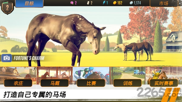 家族传奇马匹养成竞技最新版截图2