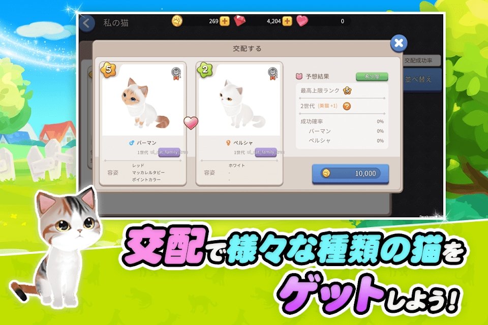 my little kitty手游截图3