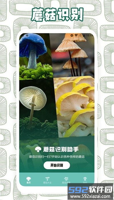 蘑菇识别助手官方版截图4