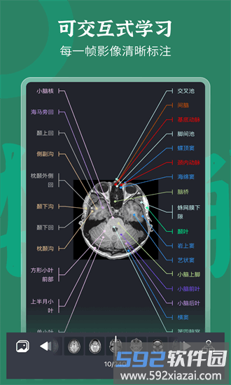 万康人体解剖官方版截图4