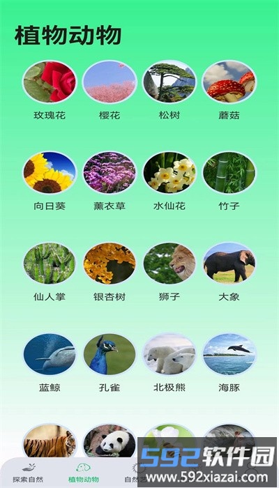 绿野乐园手机版截图1