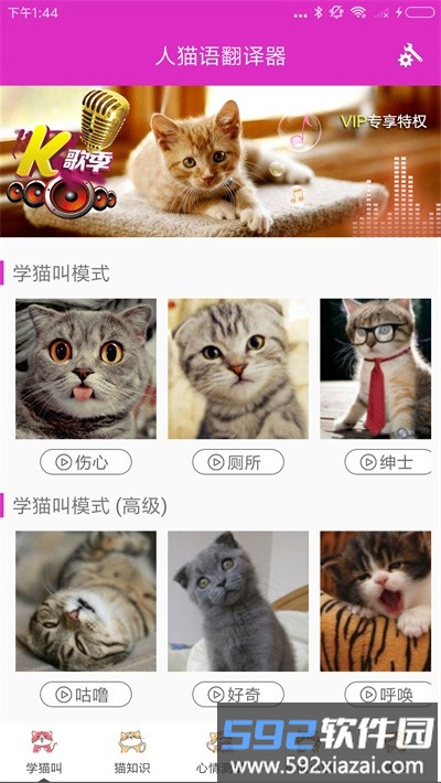 人猫语翻译器免费版截图2