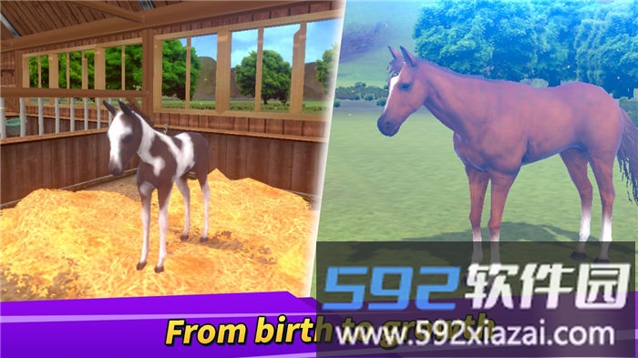 德比生活手机版截图1