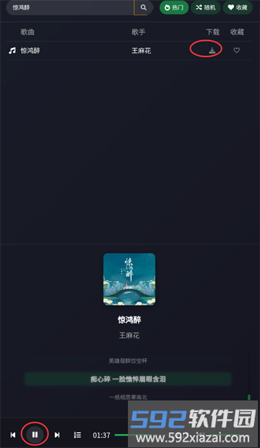 播放和下载选项