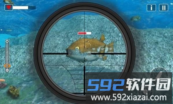 水下动物猎人官方版(underwater animal hunter)截图2