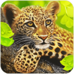 豹子模拟器无限金币版(the leopard)