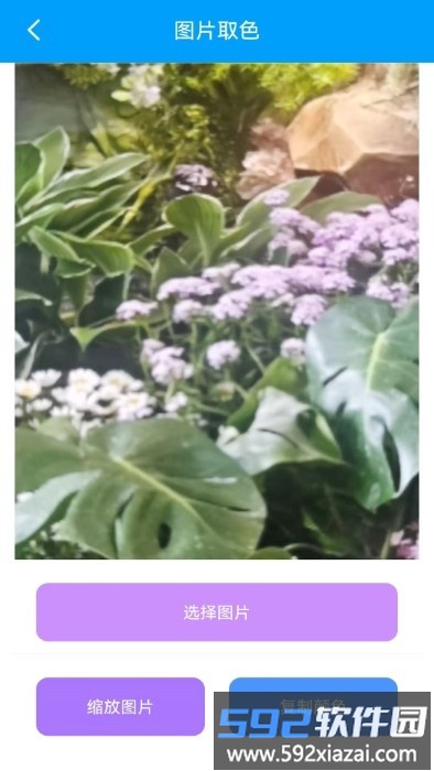 栋剧工具箱app截图2