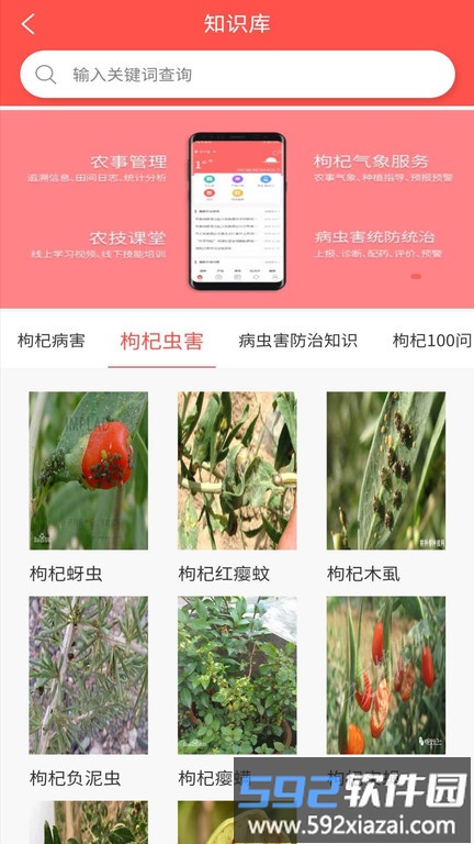 枸杞掌中宝app截图3