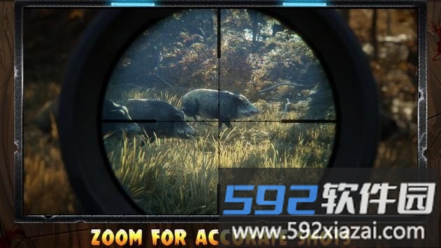 猎猪射击(pig hunting shooting game)截图2