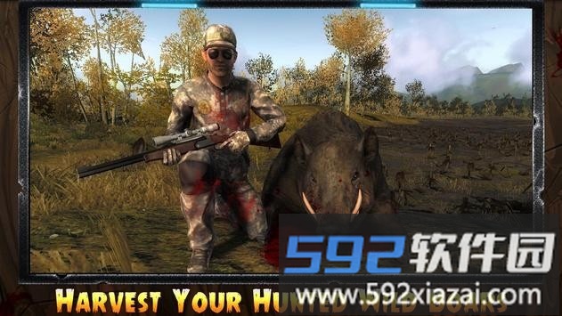 猎猪射击(pig hunting shooting game)截图3