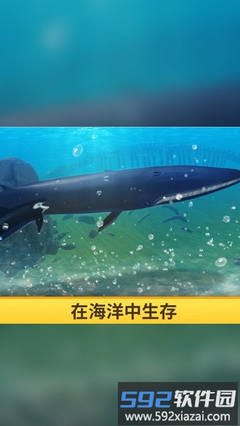 海洋3d蓝鲸模拟游戏截图1