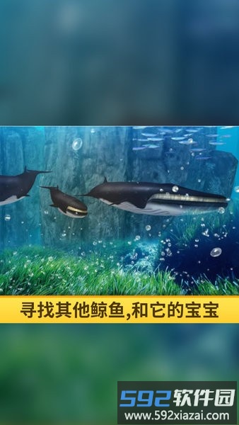 海洋3d蓝鲸模拟游戏截图3