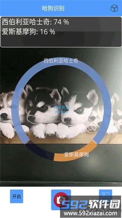 哈狗识别app(万能拍照识别)截图2