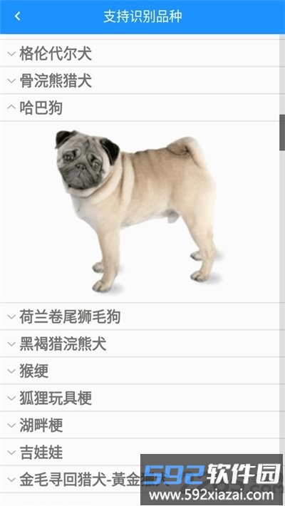 哈狗识别app(万能拍照识别)截图3