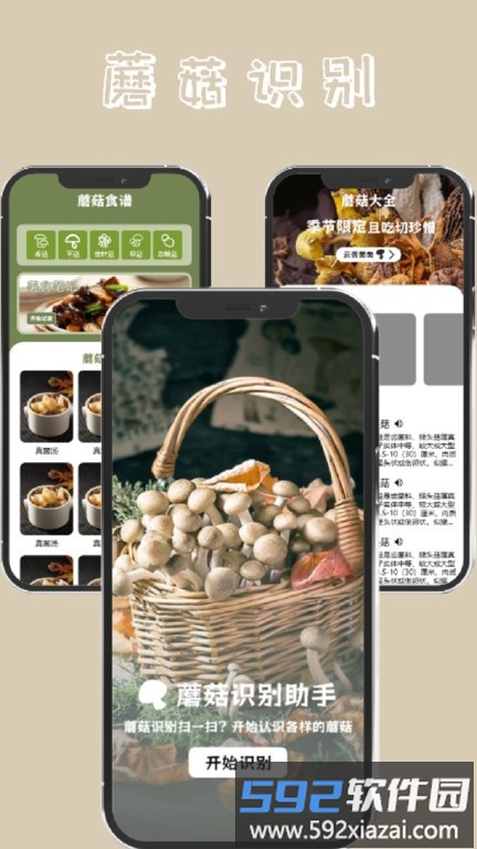 蘑菇识别高手app截图2