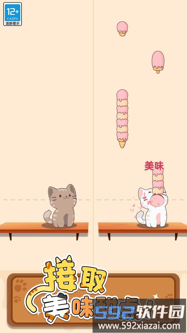 守护小猫